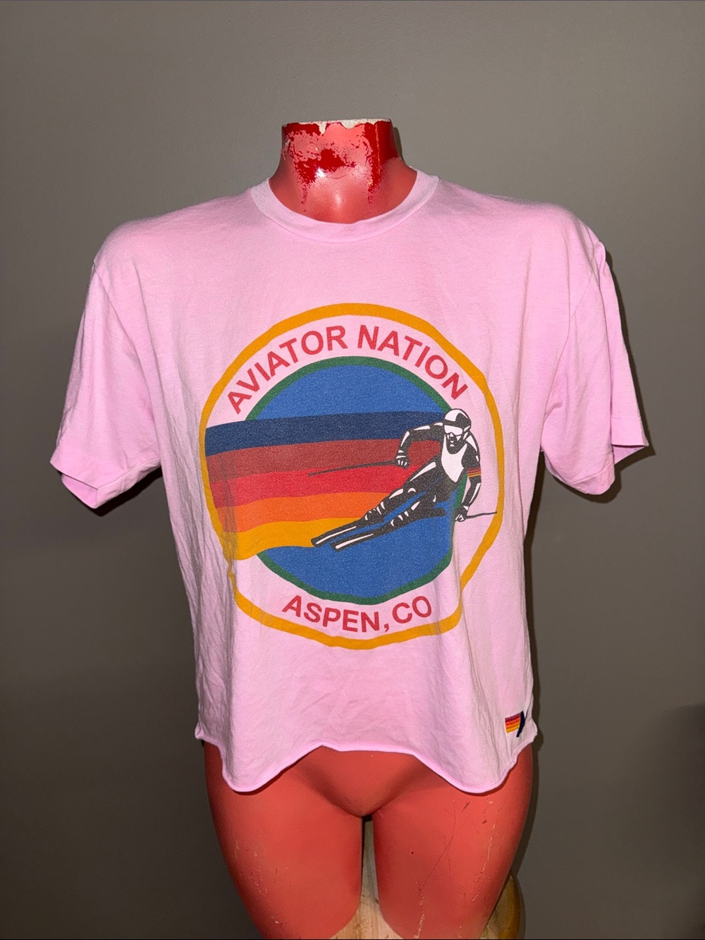 Aviator Nation x Aspen Ski Graphic Short Sleeve Tee shirt top